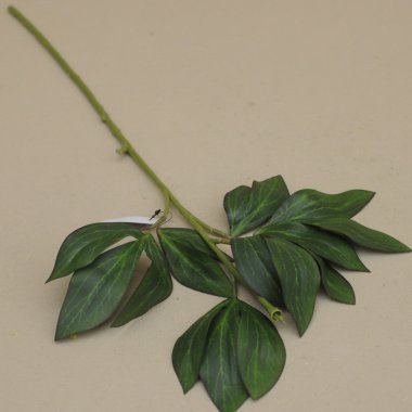 SUN609 ŁODYGA DO PIWONI 73 CM.12/48 SZT