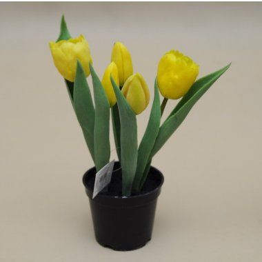 CV10552-3 TULIPAN*5 GUMA DONICZKA ŻÓŁTY 22CM OP.36