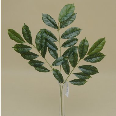 R535 LIŚĆ AKACJI PODGUMOWANY 60 CM. 12 CM.