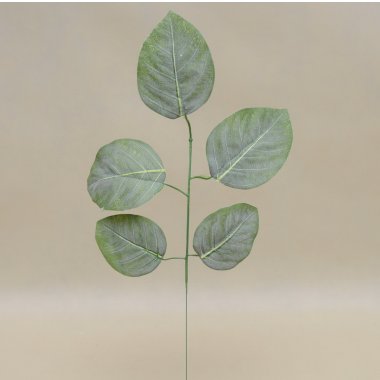 F5M7 LIŚC MAGNOLII OMSZONY 56 CM OP.12 SZT