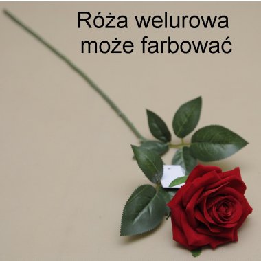 ERA1015 RÓŻA VELVET GAŁĄZKA 66 CM  12/60 SZT