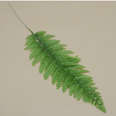 CV11682 LIŚĆ PAPROCI 53 CM 12/144 SZT
