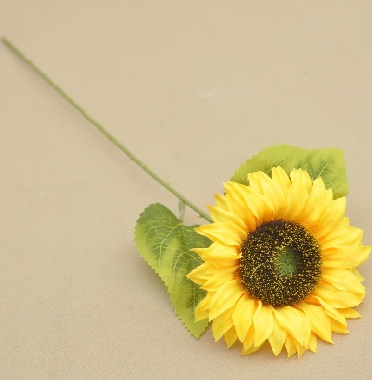 CV34927 SŁONECZNIK POJEDYNCZY 50 CM OP.6 SZT